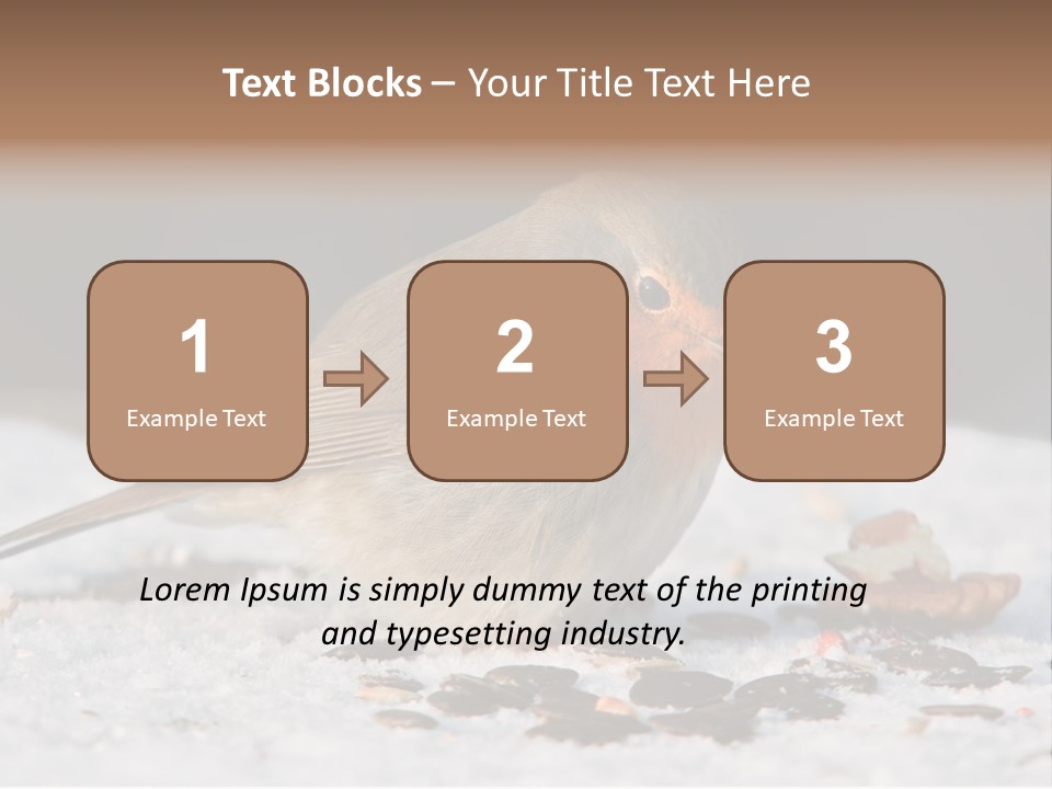 Close Redbreast Cute PowerPoint Template