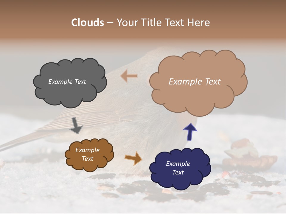 Close Redbreast Cute PowerPoint Template
