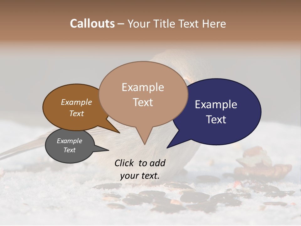 Close Redbreast Cute PowerPoint Template