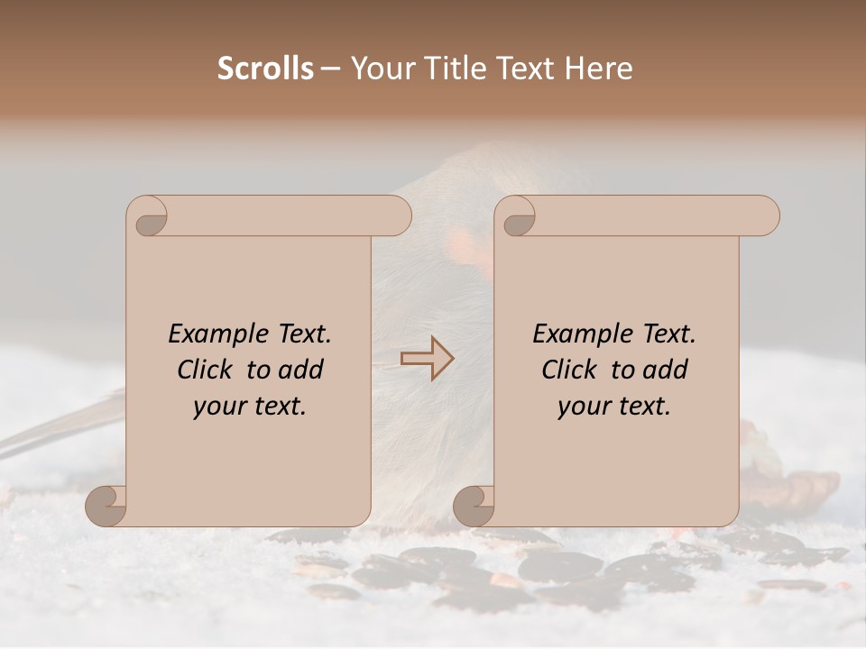 Close Redbreast Cute PowerPoint Template