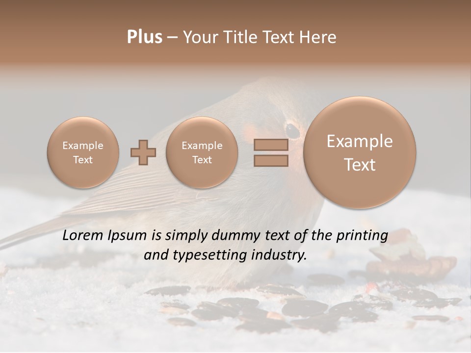 Close Redbreast Cute PowerPoint Template