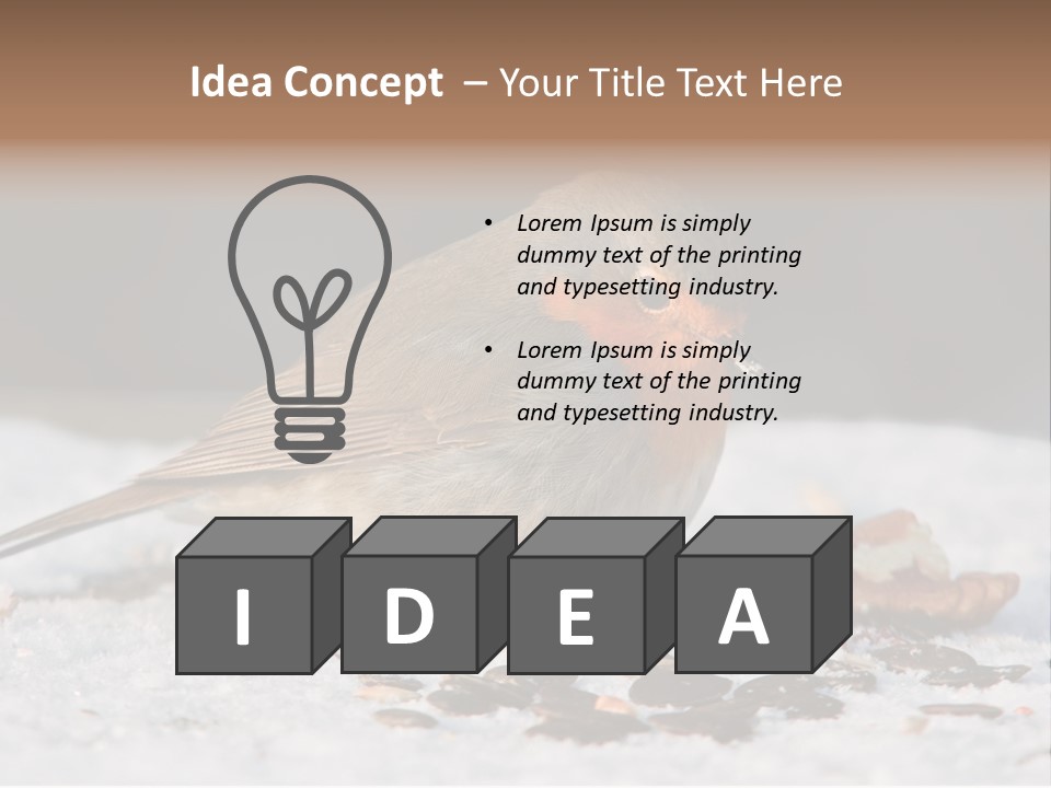 Close Redbreast Cute PowerPoint Template