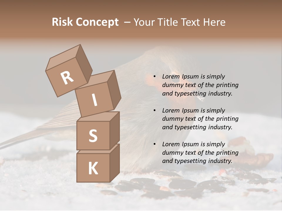 Close Redbreast Cute PowerPoint Template