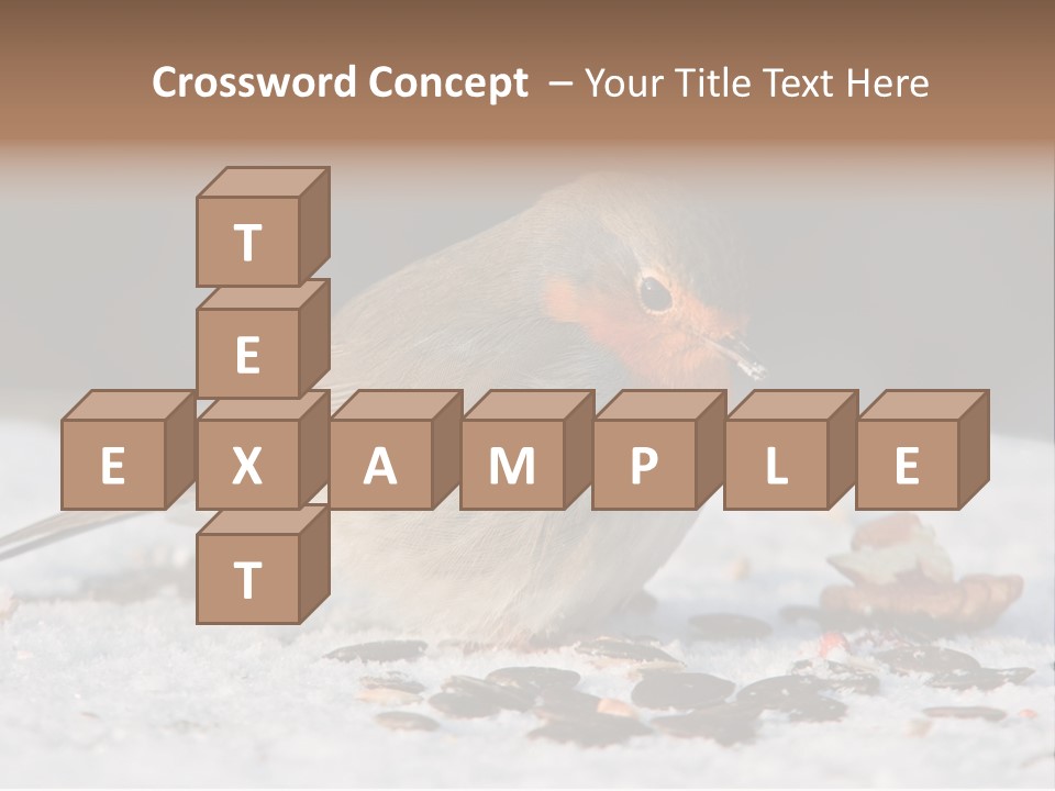 Close Redbreast Cute PowerPoint Template