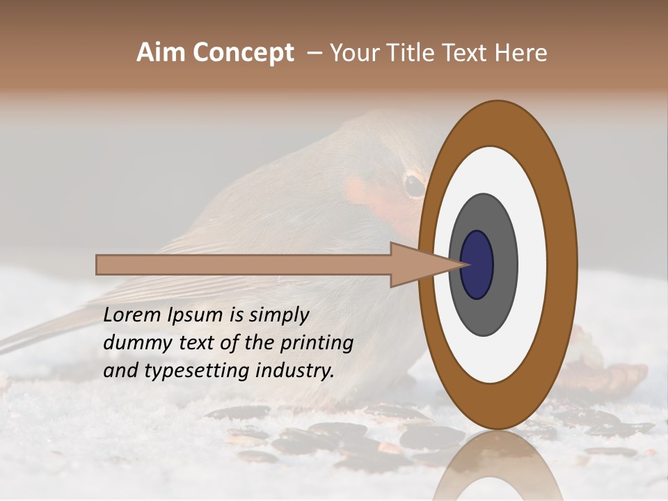 Close Redbreast Cute PowerPoint Template