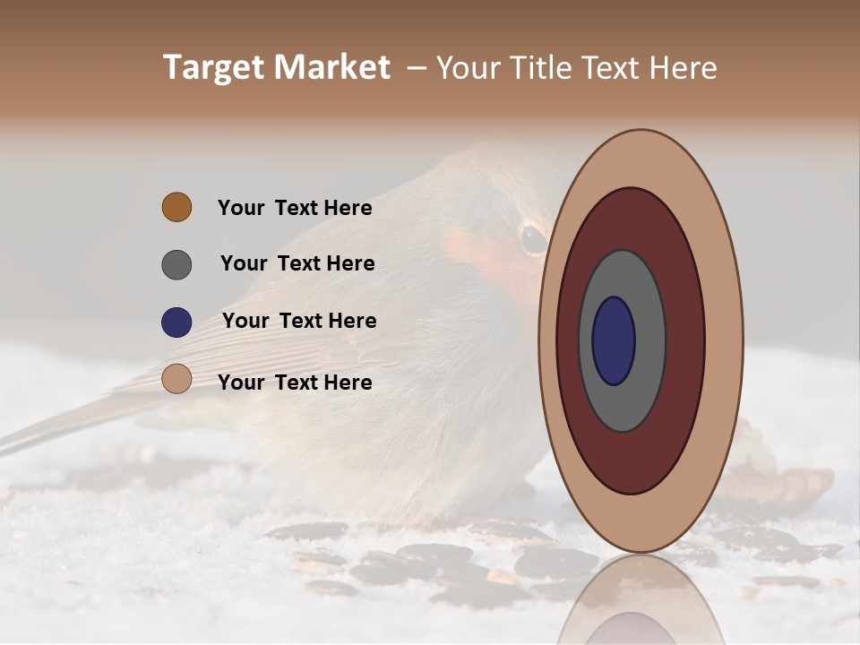 Close Redbreast Cute PowerPoint Template