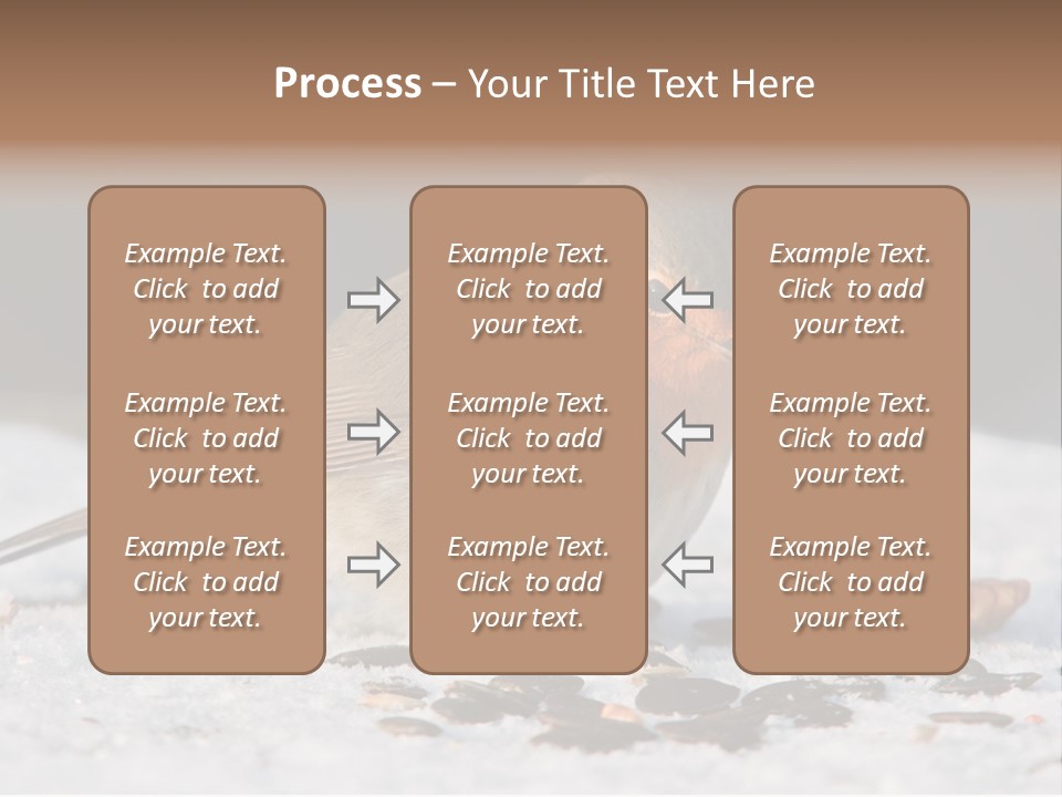 Close Redbreast Cute PowerPoint Template