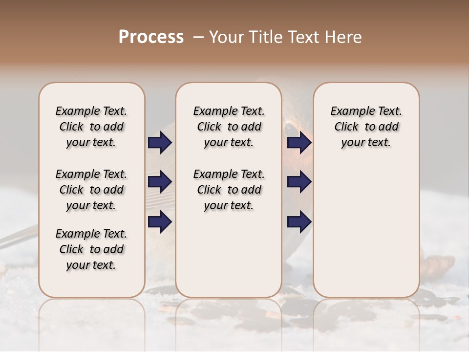 Close Redbreast Cute PowerPoint Template
