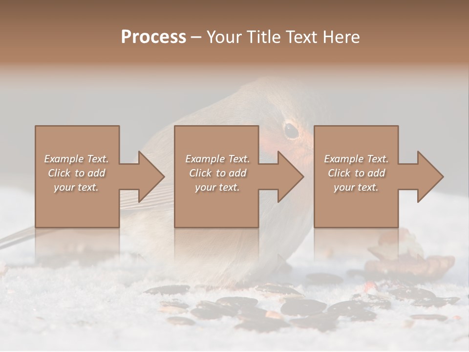 Close Redbreast Cute PowerPoint Template
