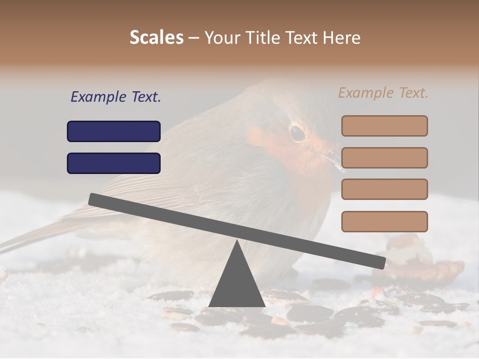 Close Redbreast Cute PowerPoint Template