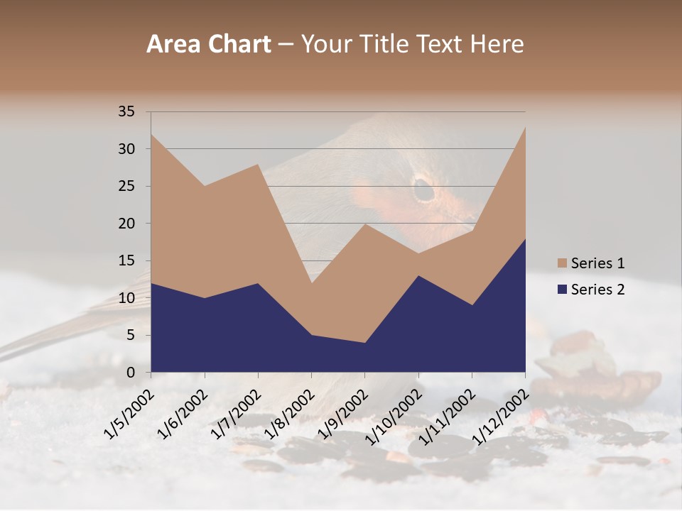 Close Redbreast Cute PowerPoint Template