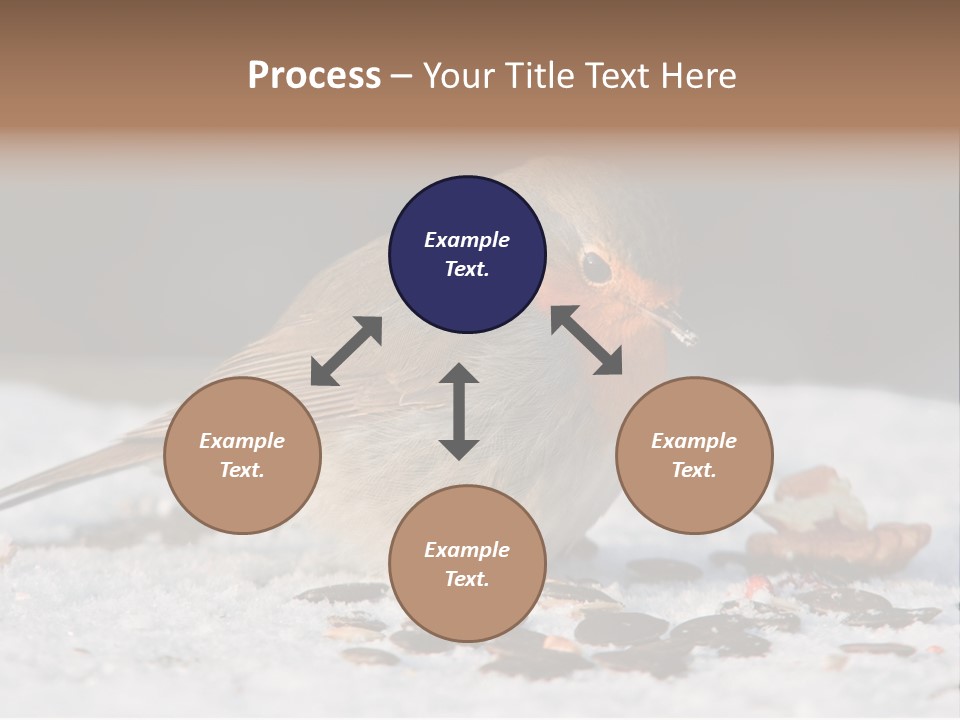 Close Redbreast Cute PowerPoint Template