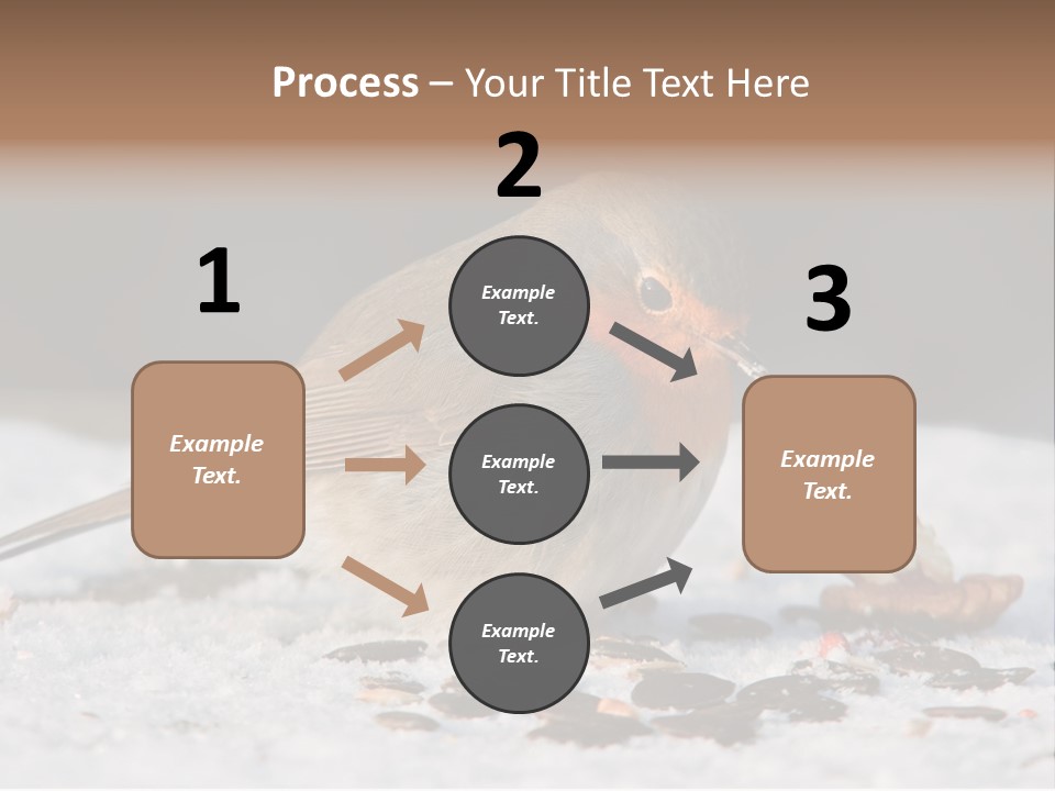 Close Redbreast Cute PowerPoint Template