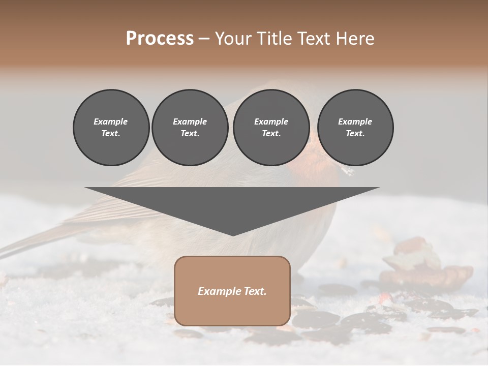 Close Redbreast Cute PowerPoint Template