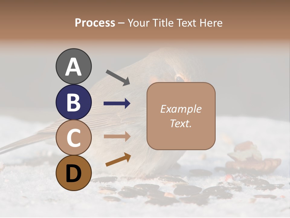 Close Redbreast Cute PowerPoint Template