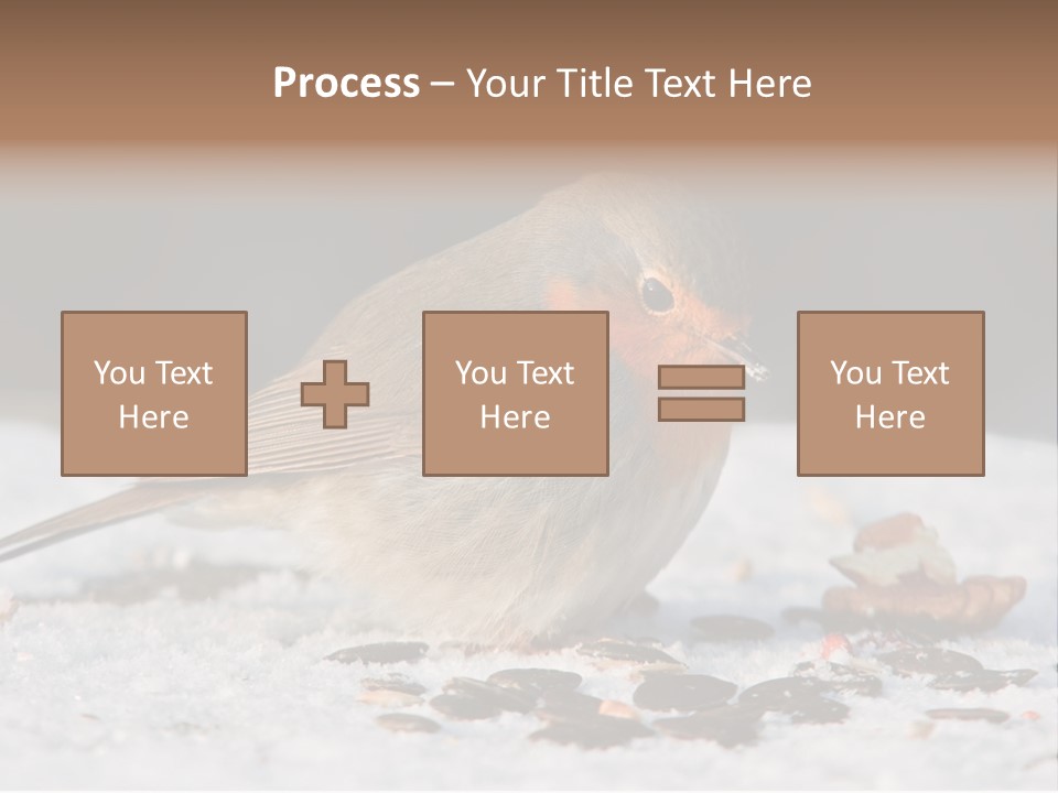 Close Redbreast Cute PowerPoint Template