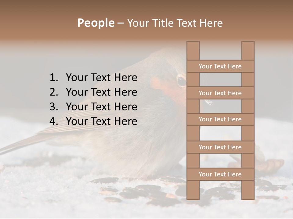 Close Redbreast Cute PowerPoint Template