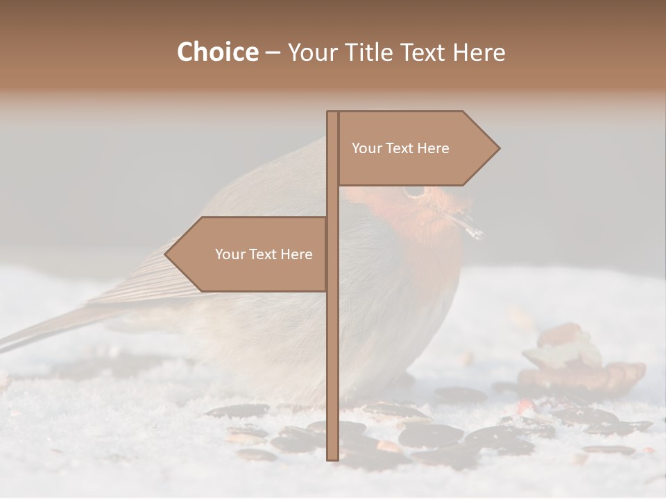 Close Redbreast Cute PowerPoint Template