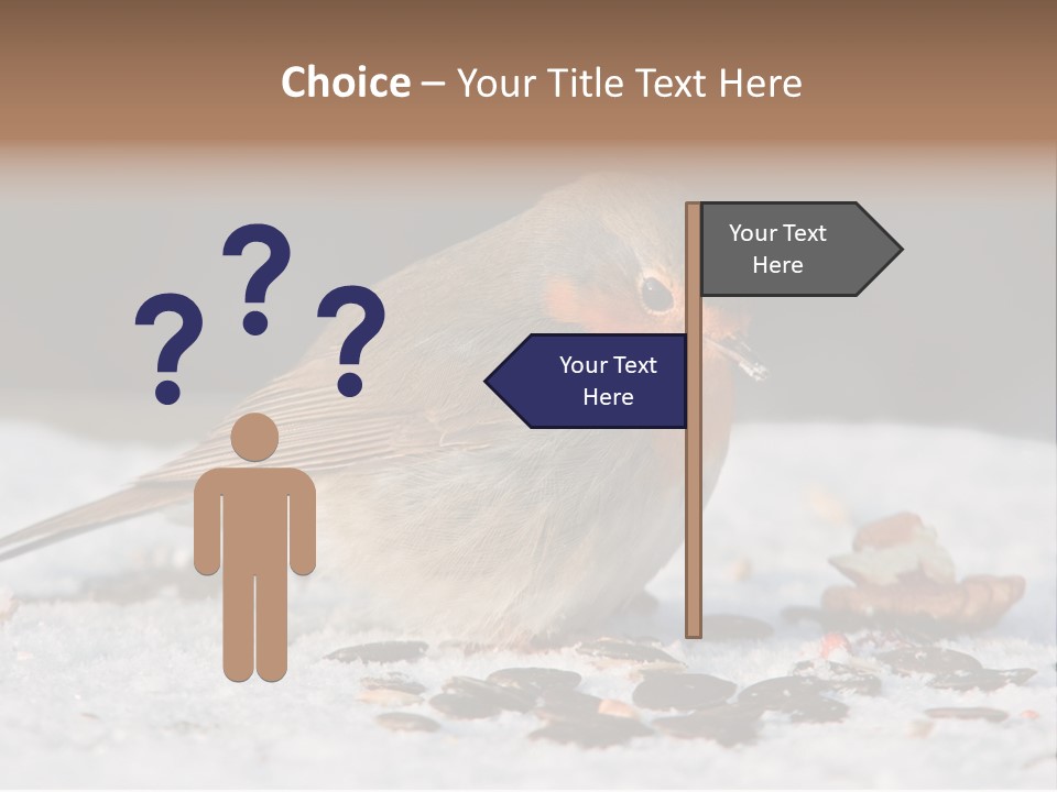 Close Redbreast Cute PowerPoint Template