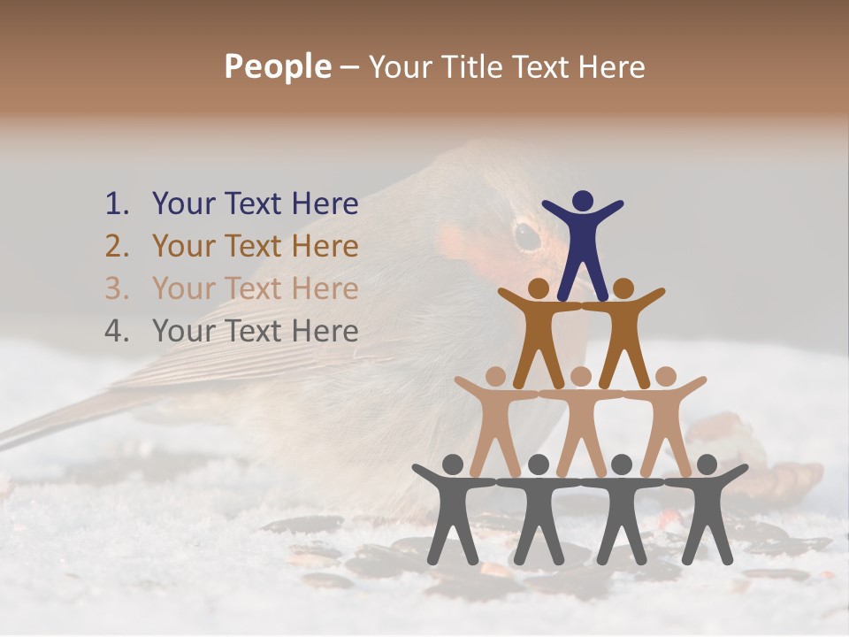 Close Redbreast Cute PowerPoint Template