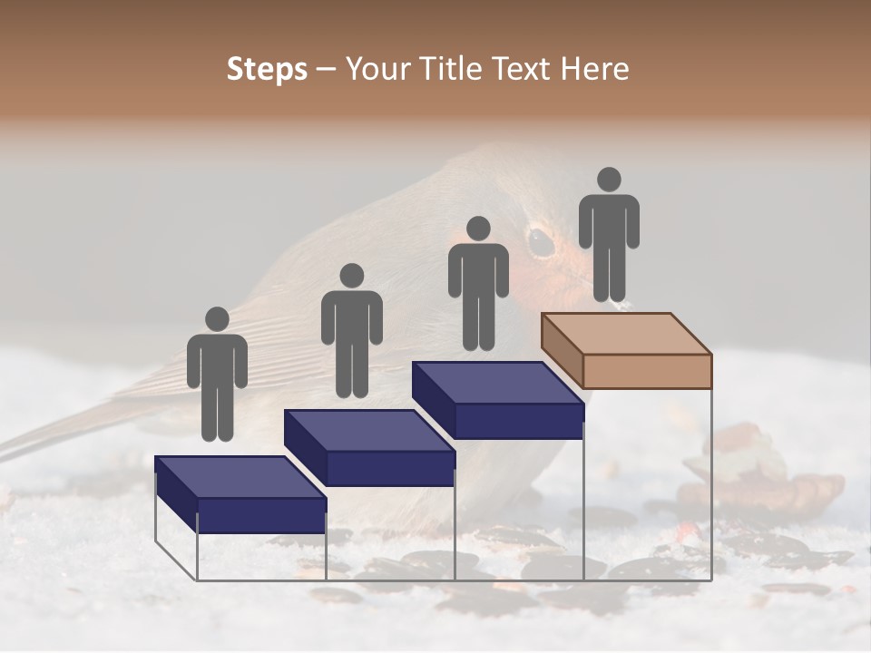 Close Redbreast Cute PowerPoint Template