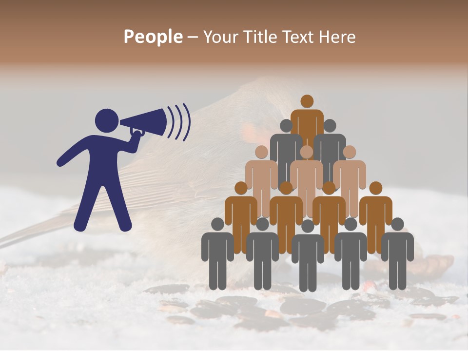 Close Redbreast Cute PowerPoint Template