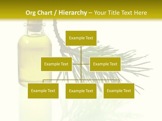 Medicine Medical Healthcare PowerPoint Template