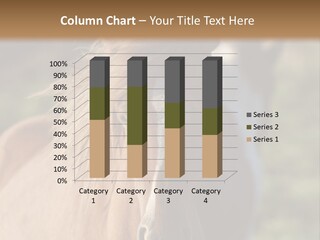 The Garden Circle Color Ruminant PowerPoint Template