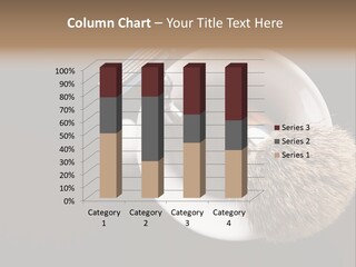 Shaving Brush Beautiful Hygiene PowerPoint Template