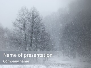 Day December Misty PowerPoint Template