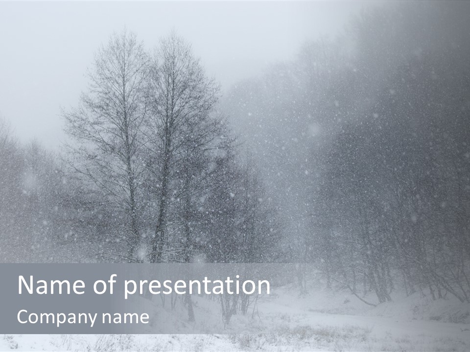 Day December Misty PowerPoint Template