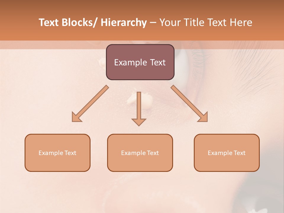 Isolated Cute Closeup PowerPoint Template