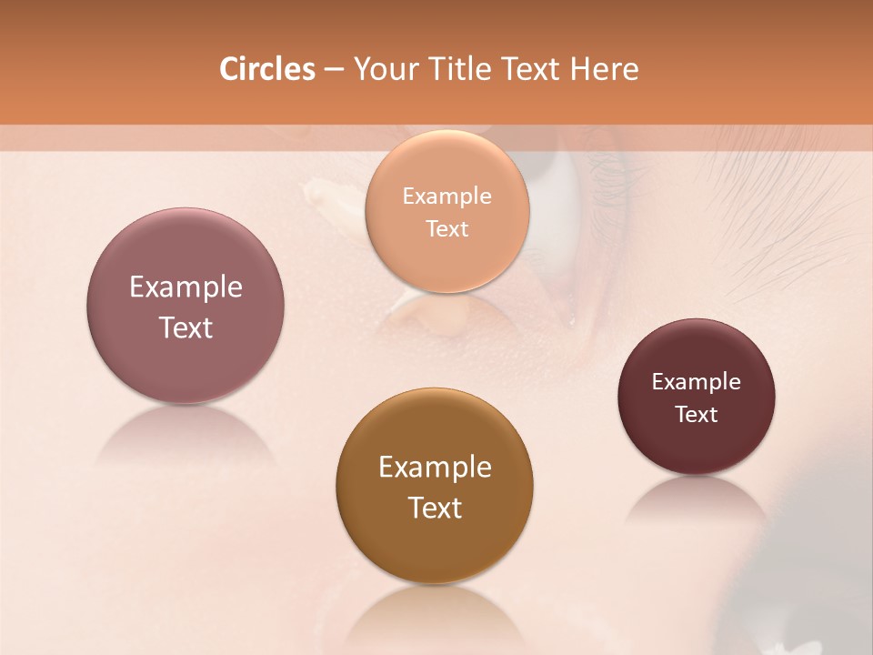 Isolated Cute Closeup PowerPoint Template