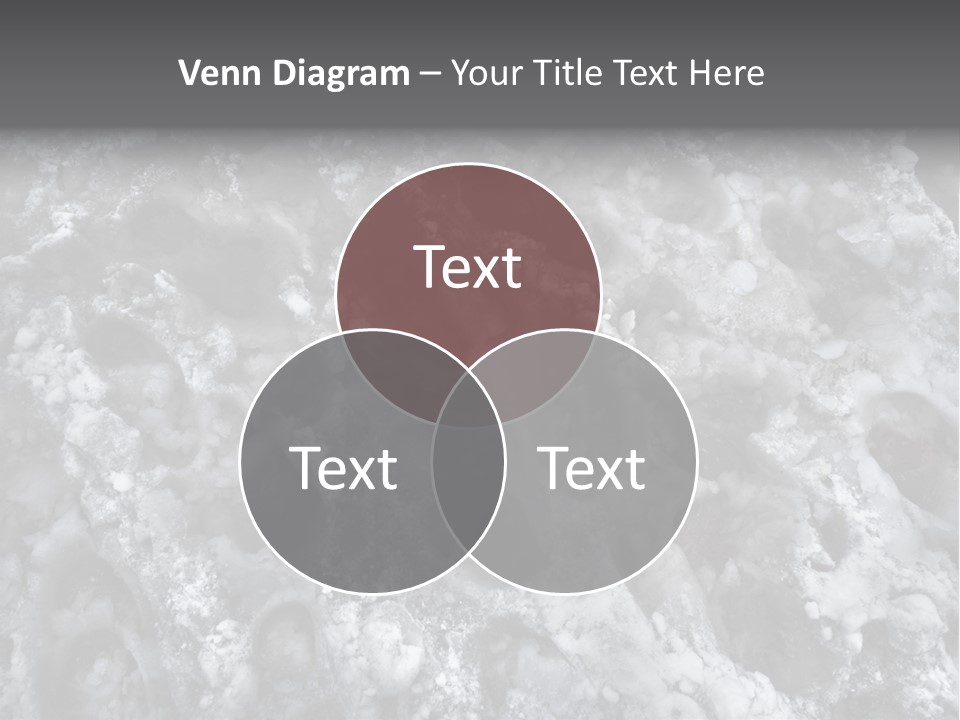 Walking Crosswalk Sleet PowerPoint Template