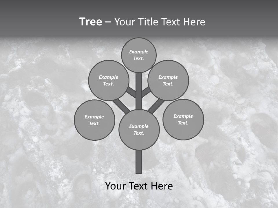 Walking Crosswalk Sleet PowerPoint Template