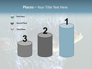 Loss Of Freedom Sad Fresh Water PowerPoint Template