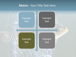 Loss Of Freedom Sad Fresh Water PowerPoint Template