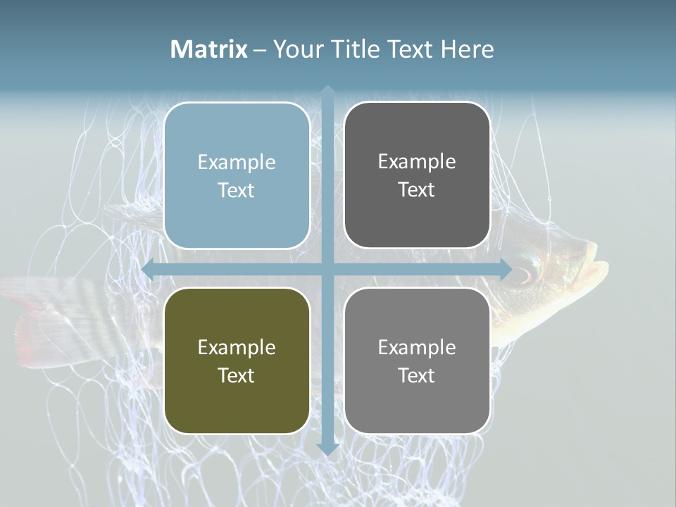Loss Of Freedom Sad Fresh Water PowerPoint Template