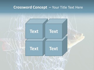 Loss Of Freedom Sad Fresh Water PowerPoint Template