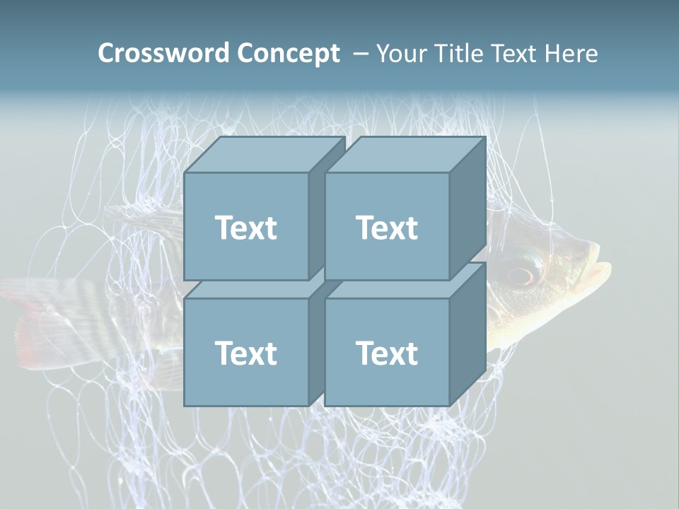 Loss Of Freedom Sad Fresh Water PowerPoint Template