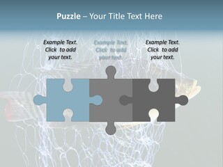 Loss Of Freedom Sad Fresh Water PowerPoint Template