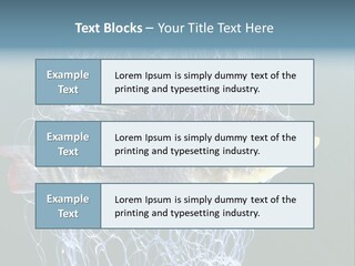 Loss Of Freedom Sad Fresh Water PowerPoint Template