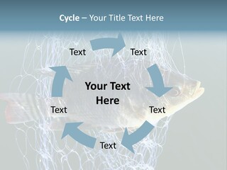 Loss Of Freedom Sad Fresh Water PowerPoint Template