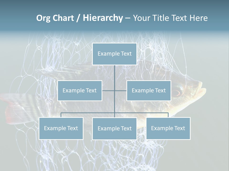 Loss Of Freedom Sad Fresh Water PowerPoint Template
