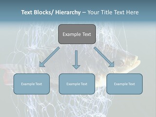 Loss Of Freedom Sad Fresh Water PowerPoint Template