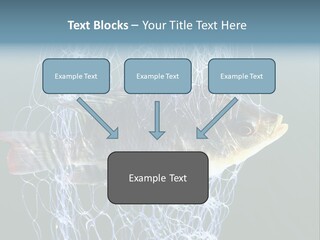 Loss Of Freedom Sad Fresh Water PowerPoint Template