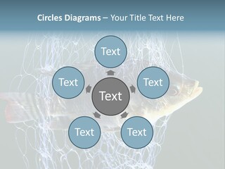 Loss Of Freedom Sad Fresh Water PowerPoint Template