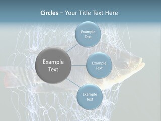 Loss Of Freedom Sad Fresh Water PowerPoint Template