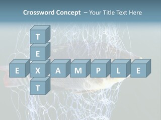Loss Of Freedom Sad Fresh Water PowerPoint Template