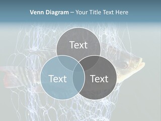 Loss Of Freedom Sad Fresh Water PowerPoint Template